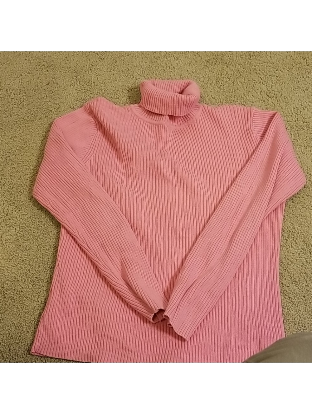 Sonoma Lifestyle pink turtle next sweater